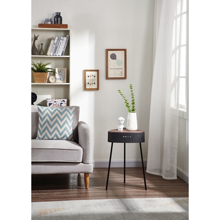 Salora Airtable Flow WV bluetooth speaker